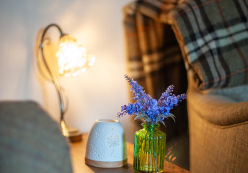 Arm chair with lamp, side table, vase of flowers and a throw