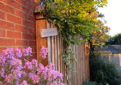 Garden with purple flowers and Gin Garden sign