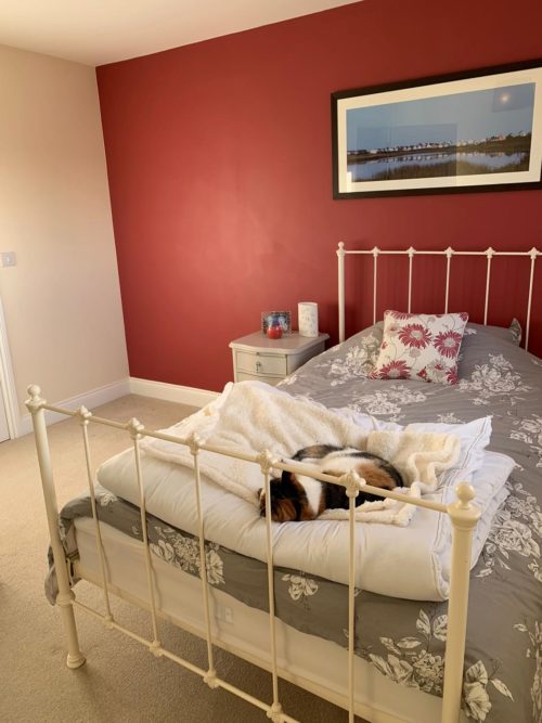 Guest Bedroom with iron bed, red feature wall